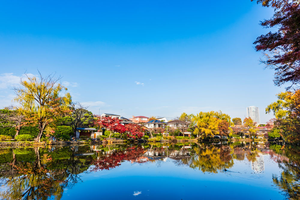 石神井公園周辺の緑豊かな街並み